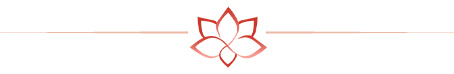 Lotus line graphic Lotus line graphic