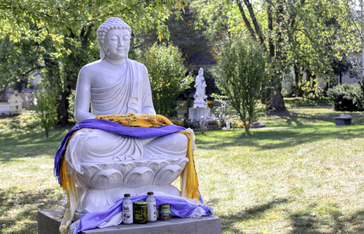 WM- Shakyamuni 1F3A9320_edit-web WM- Shakyamuni 1F3A9320_edit-web