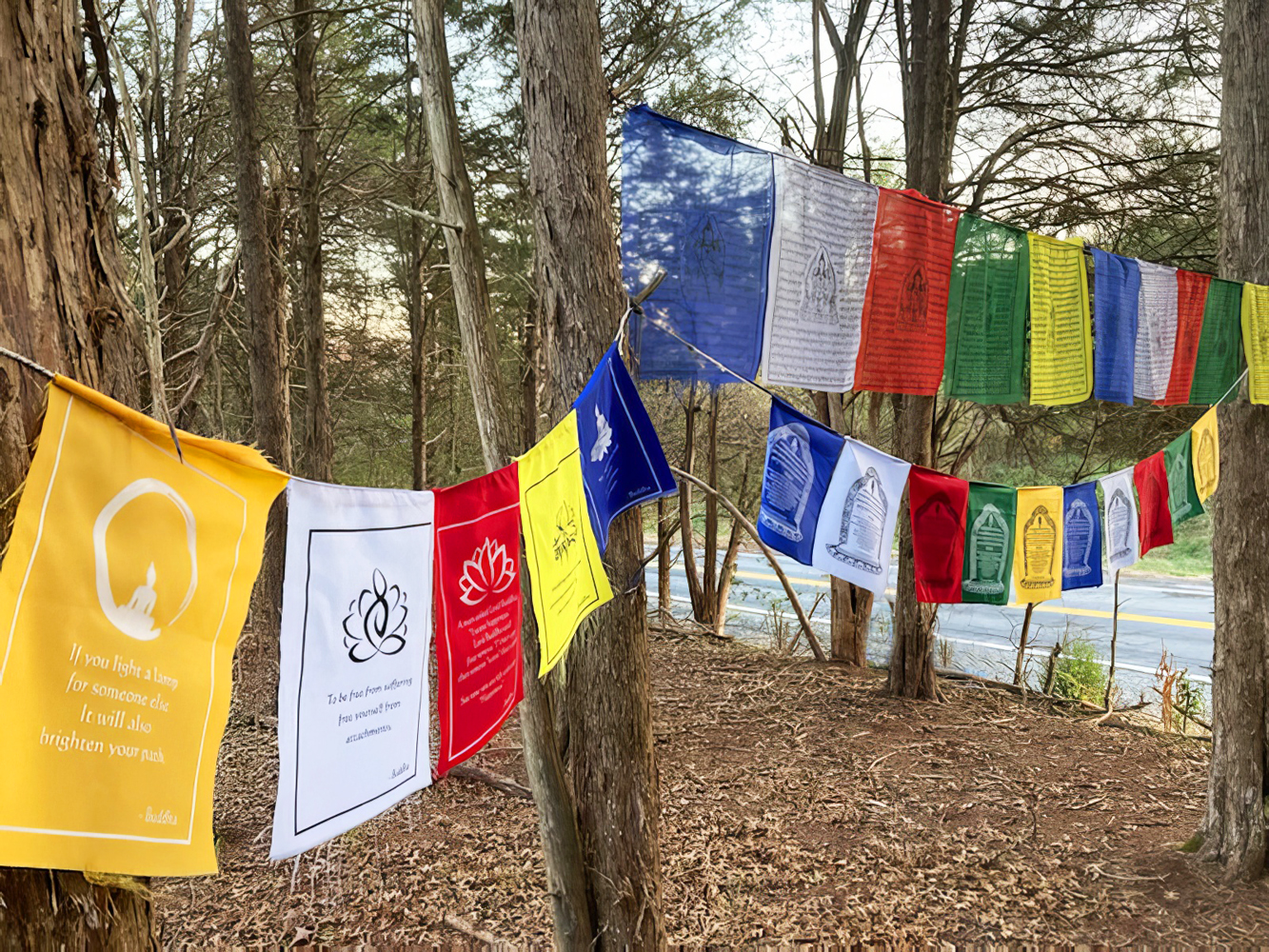 2022 MD Peace Park 9 Prayer flags at entrance-web