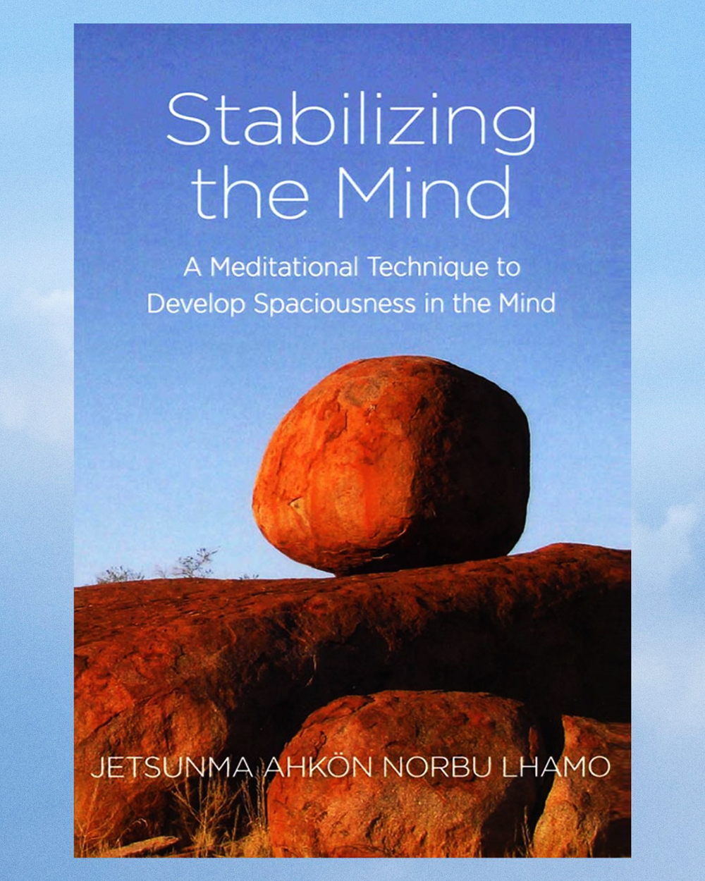 Stabilizing the Mind book