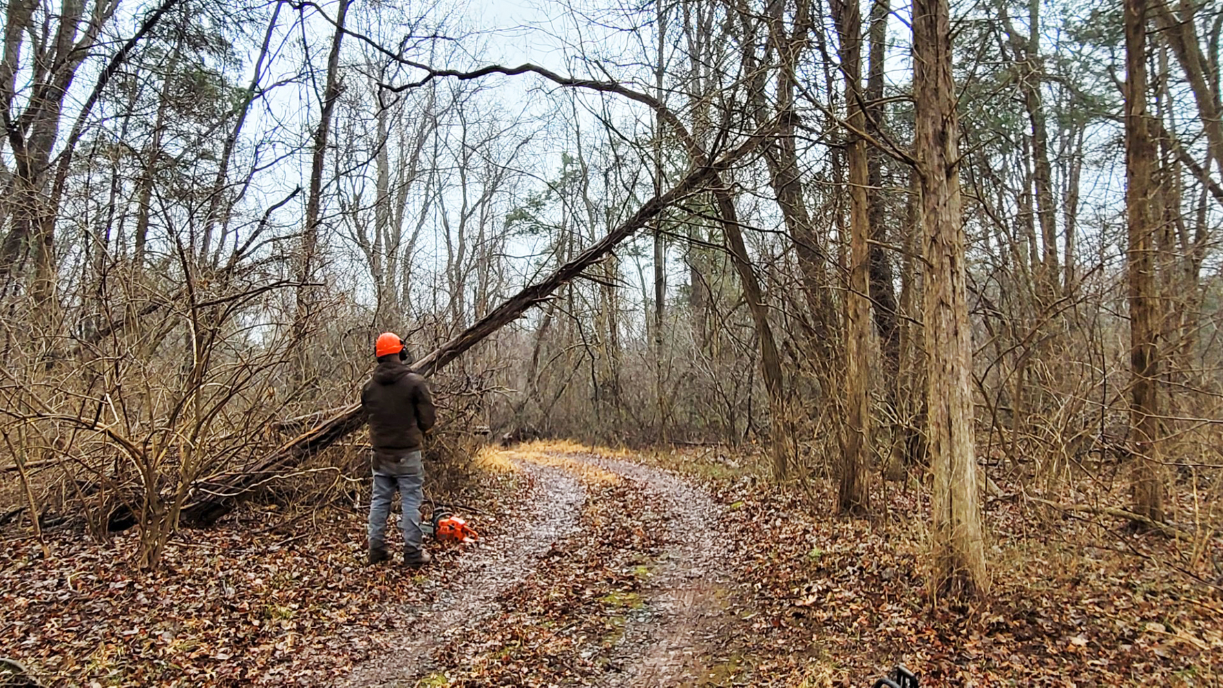 SD- Tree cutting along trails to MD Stupa