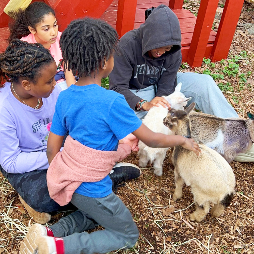 Goats&kids-web