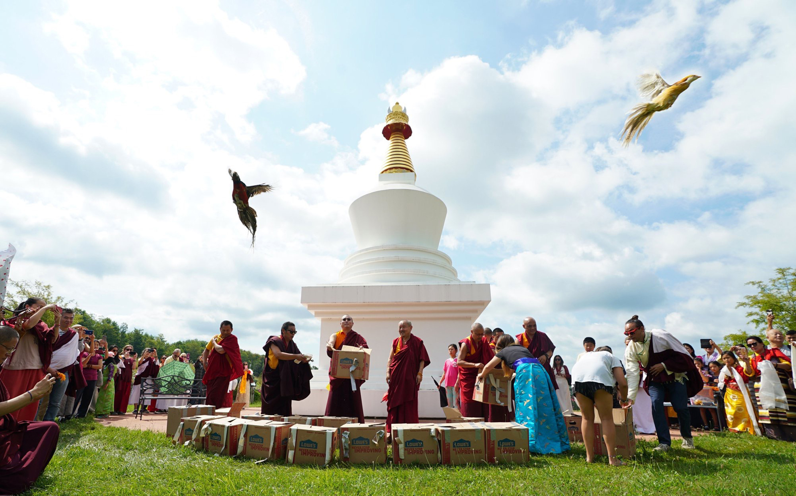 Palyul Dove Release 2019-web