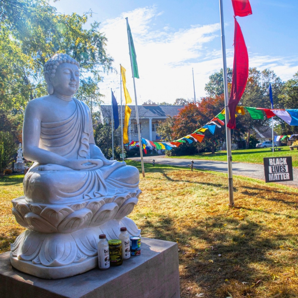 Shakyamuni-web Shakyamuni-web