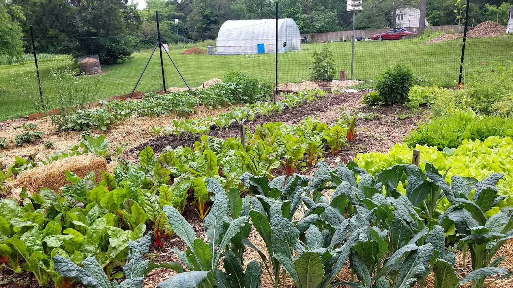 Giving Garden & hoop house-web