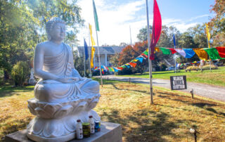 Buddha statue (2)-web