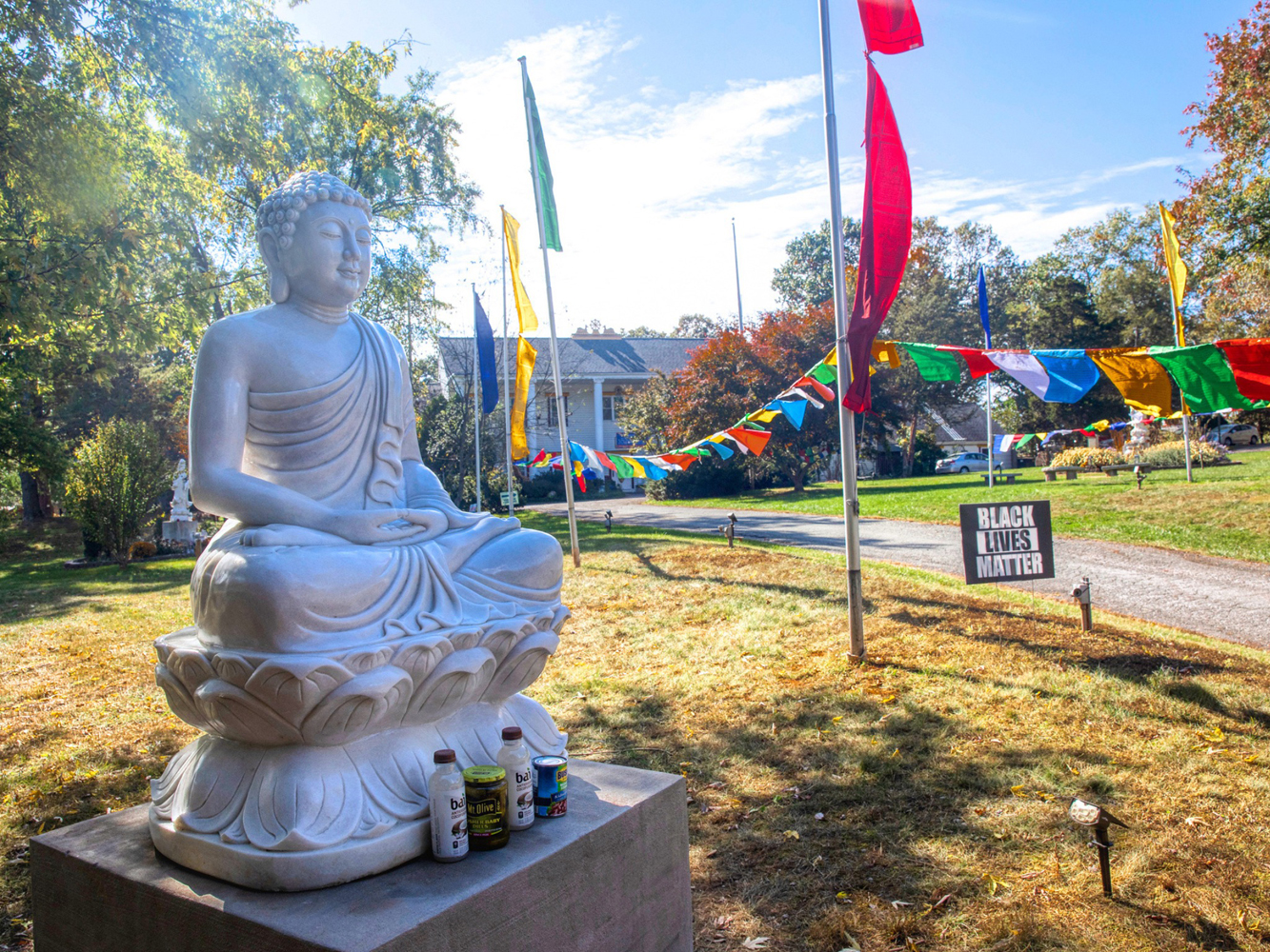 Buddha statue (2)-web