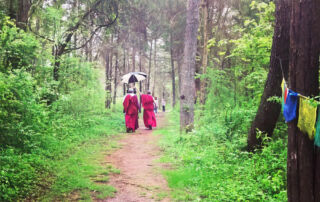 Nuns walking on pathway-web