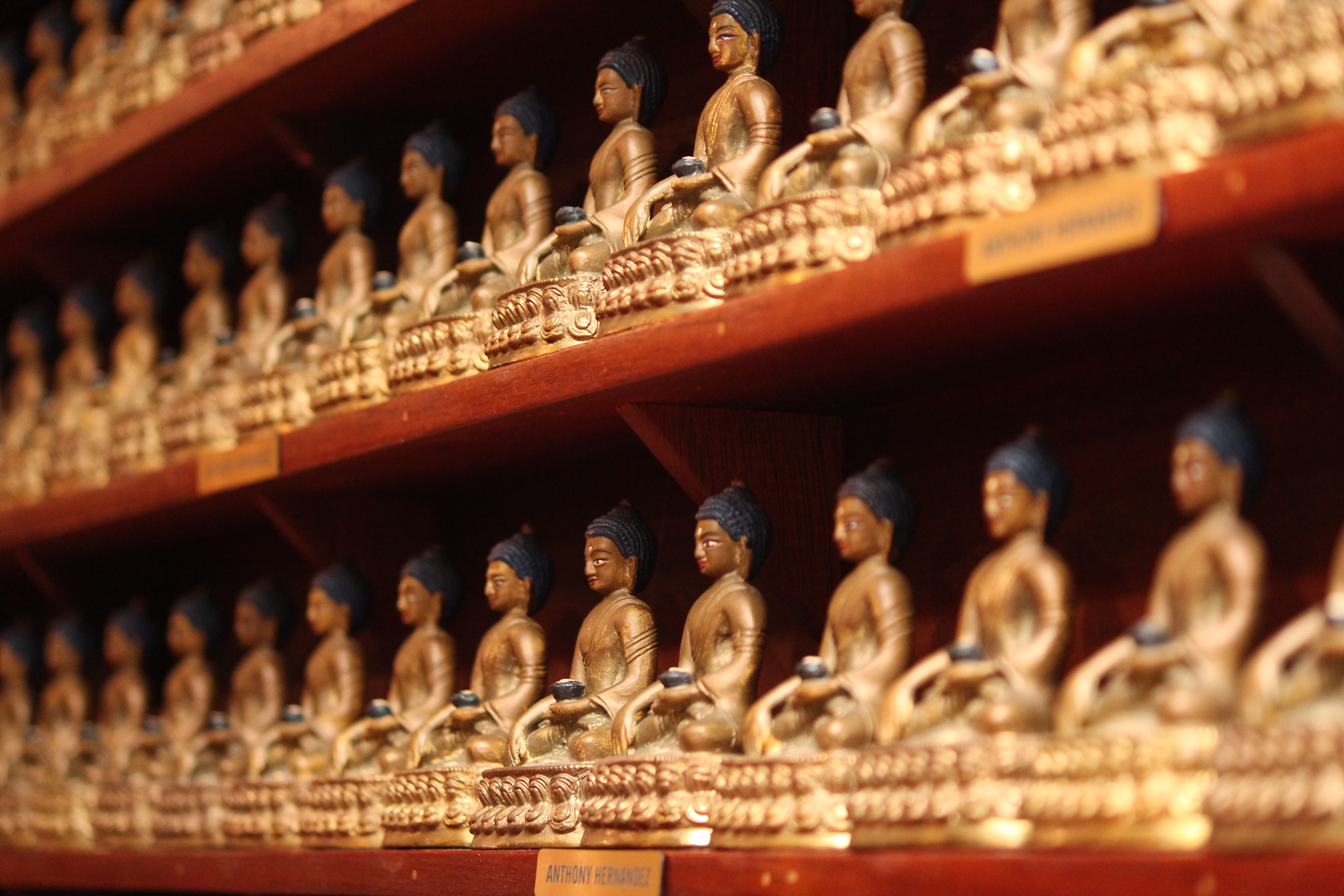 1000 Buddhas Wall