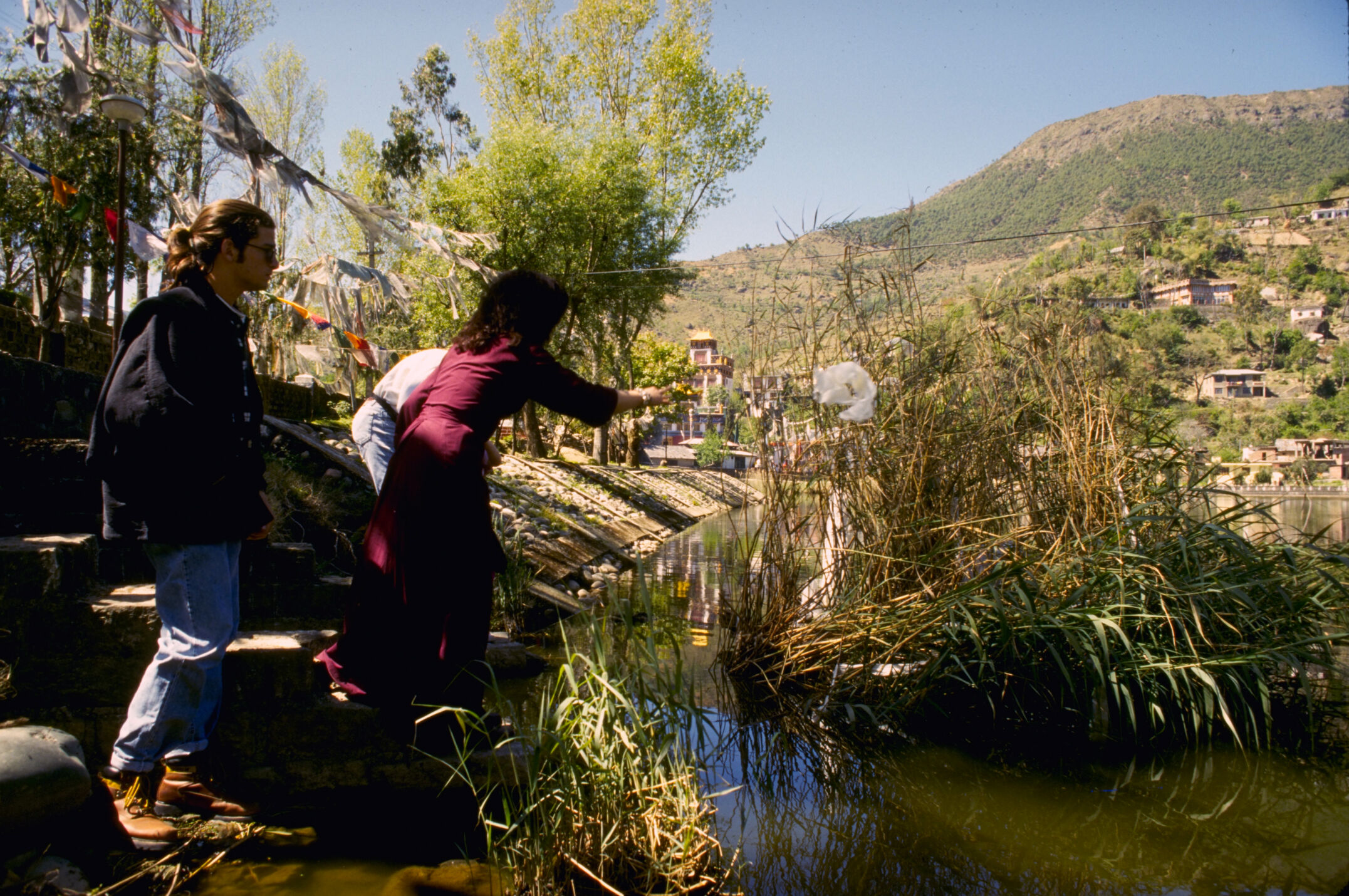 Jetsunma offering a khatag to the island of reeds at Tso Pema