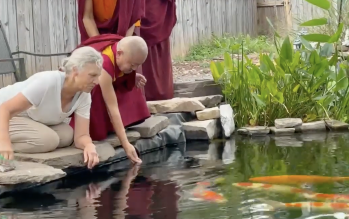 Khenchen Tsewang Gyatso feeding the koi